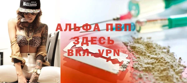 стафф Гусев