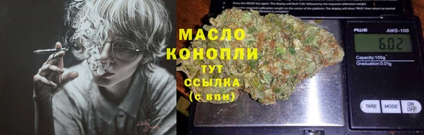 гидропоника Гусиноозёрск