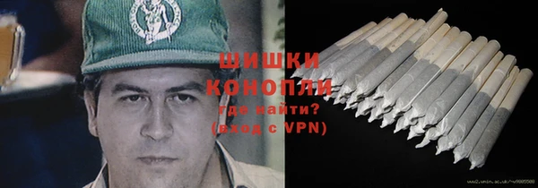 стафф Гусев