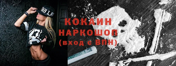 гидропоника Гусиноозёрск