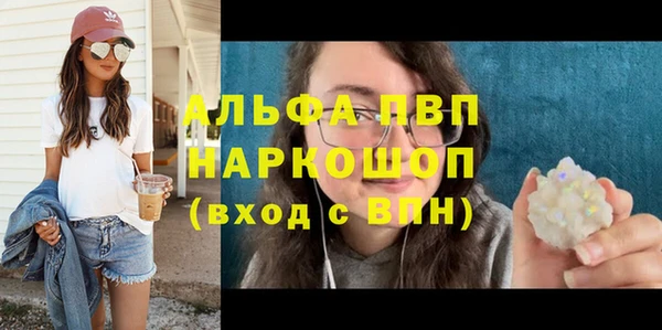 стафф Гусев