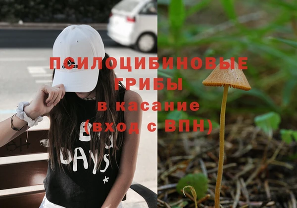 стафф Гусев