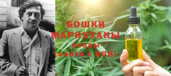гидропоника Гусиноозёрск