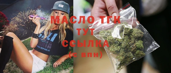 гидропоника Гусиноозёрск