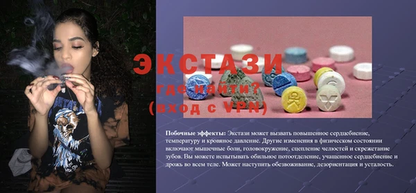 стафф Гусев