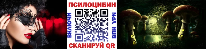 Псилоцибиновые грибы прущие грибы  даркнет официальный сайт  Дмитровск  кракен ССЫЛКА 
